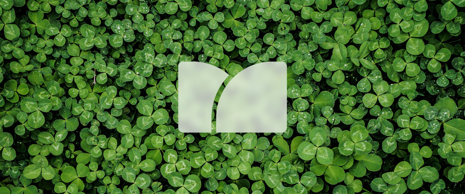 envomed logo vihreällä kasvitaustalla